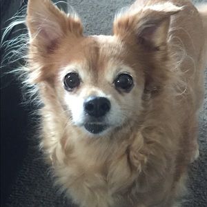 Meet your Posher, Hildegatde